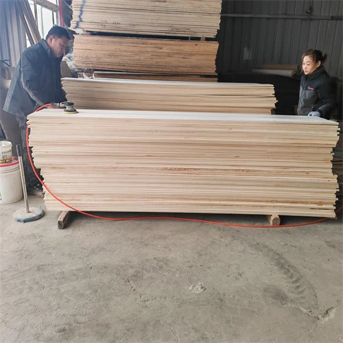 product-500-500